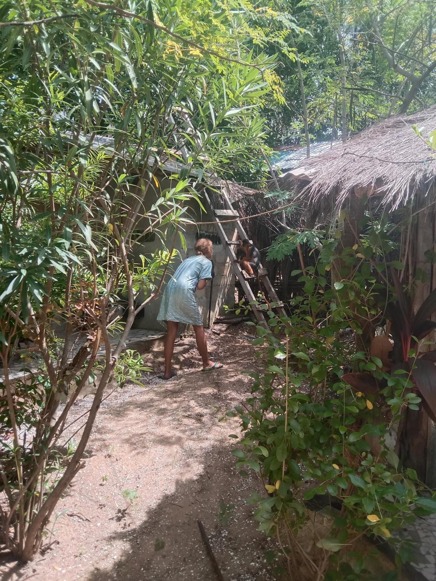 Villa Chez Bethy & Baboulaye Jungle Et Ocean Abémé Esterno foto