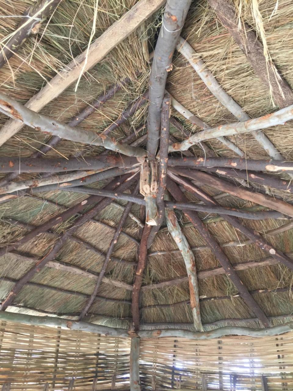Villa Chez Bethy & Baboulaye Jungle Et Ocean Abémé Esterno foto